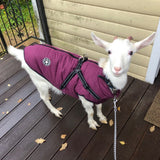 Waterproof Winter Harness Warm Dog Jacket