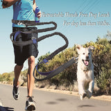 Multi-function Running Reflective Pull Dog Leash