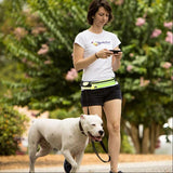 Hands Free Walking And Training Belt With Shock Absorbing Bungee Leash