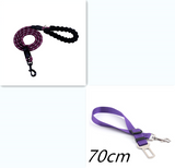 Reflective Nylon Rope Walking Training Pet Leash