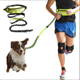 Hands Free Walking And Training Belt With Shock Absorbing Bungee Leash