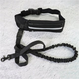Hands Free Walking And Training Belt With Shock Absorbing Bungee Leash